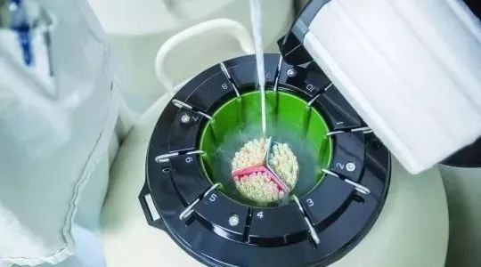 45岁冷冻卵子,28岁女生冻卵