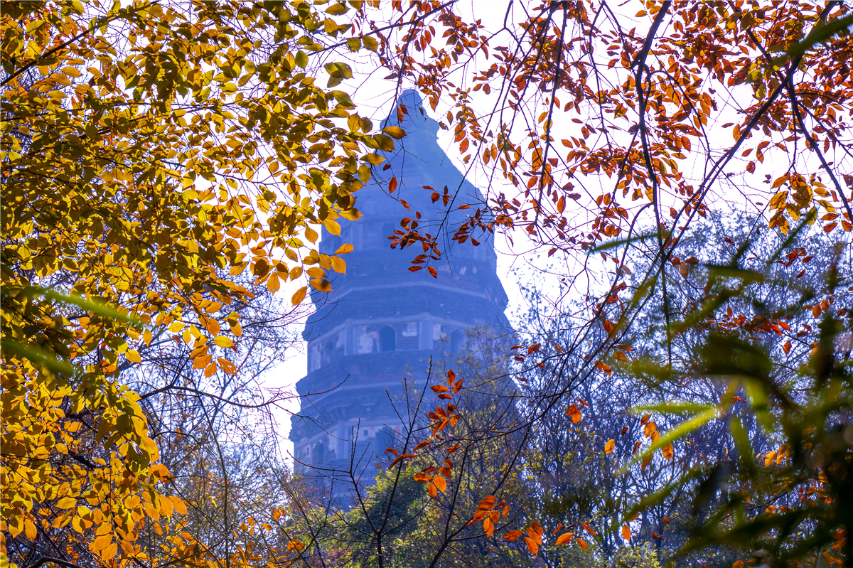 秋天苏州游玩,苏州旅游攻略秋天