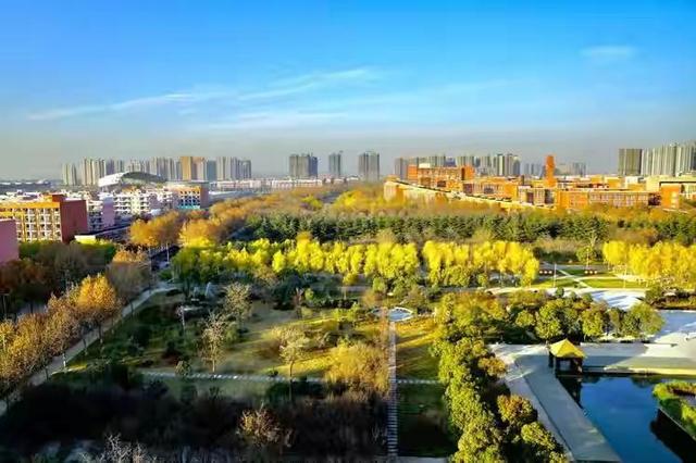 郑州大学好的专业位次,郑州大学学科评价