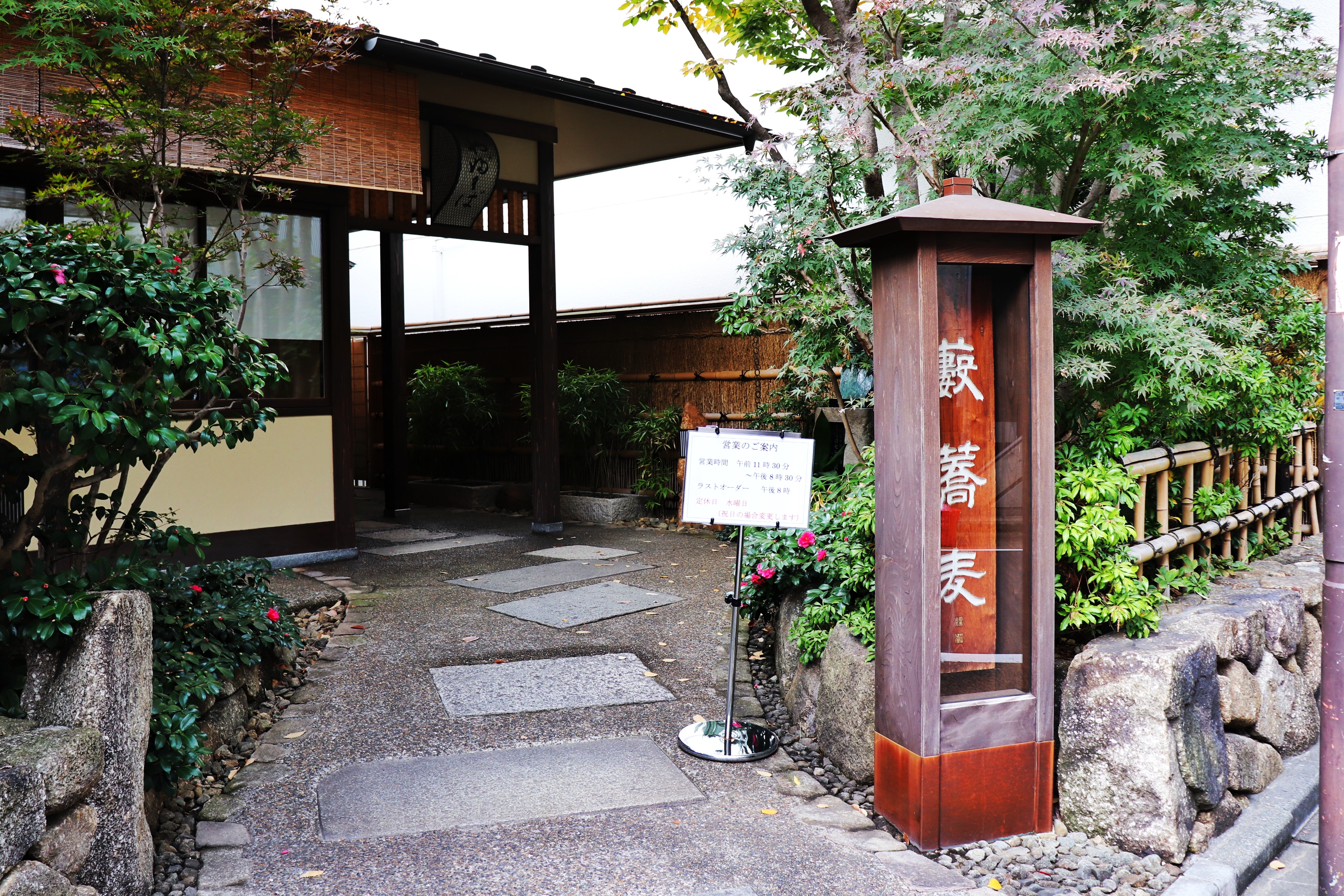 从甜品开始,从轻食到地道味荞麦面口感大比拼