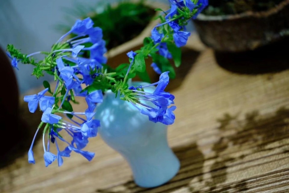 中国诗歌周刊第11期,国风雅韵第112期