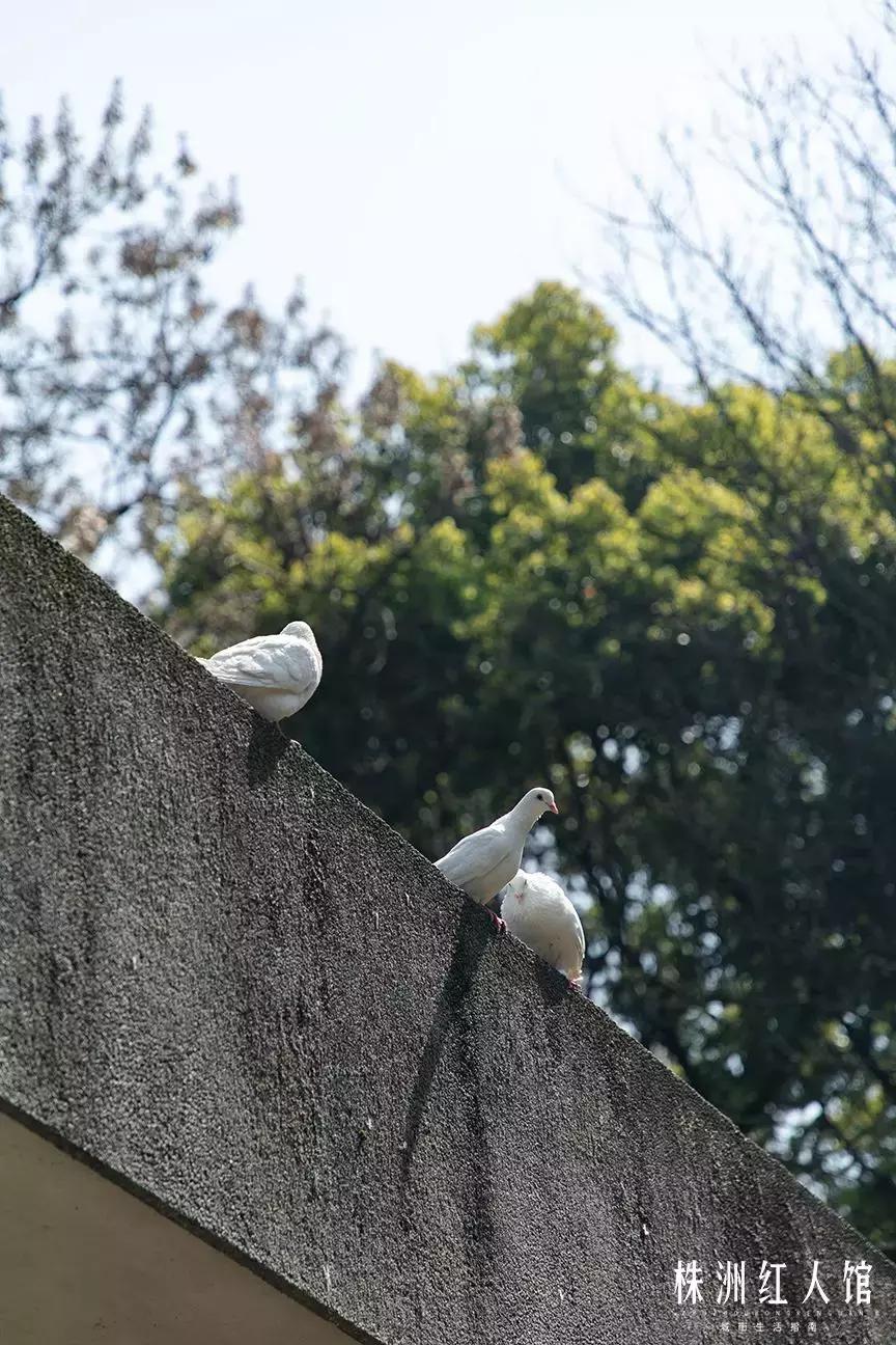 株洲神农公园的传说,株洲神农公园游览图