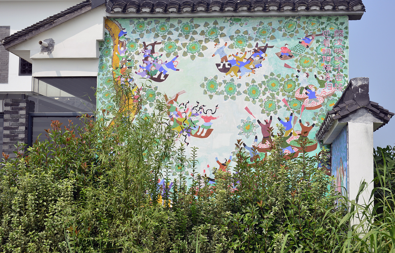 嘉兴鱼米之乡风景,去嘉兴看精致的江南风情