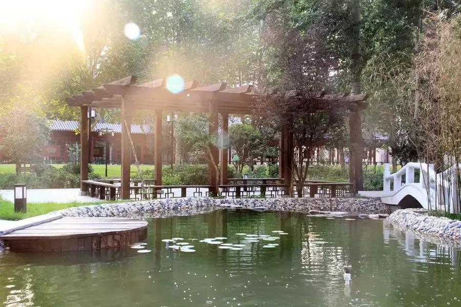 郑州金水硕爵中学,郑州九中初中部硕爵学校