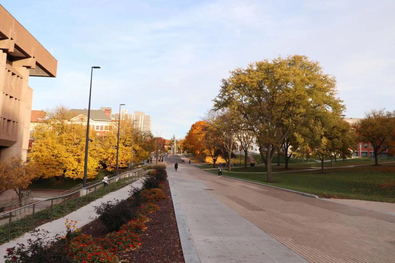 聊一聊弗吉尼亚大学！那些你不知道的秘密？