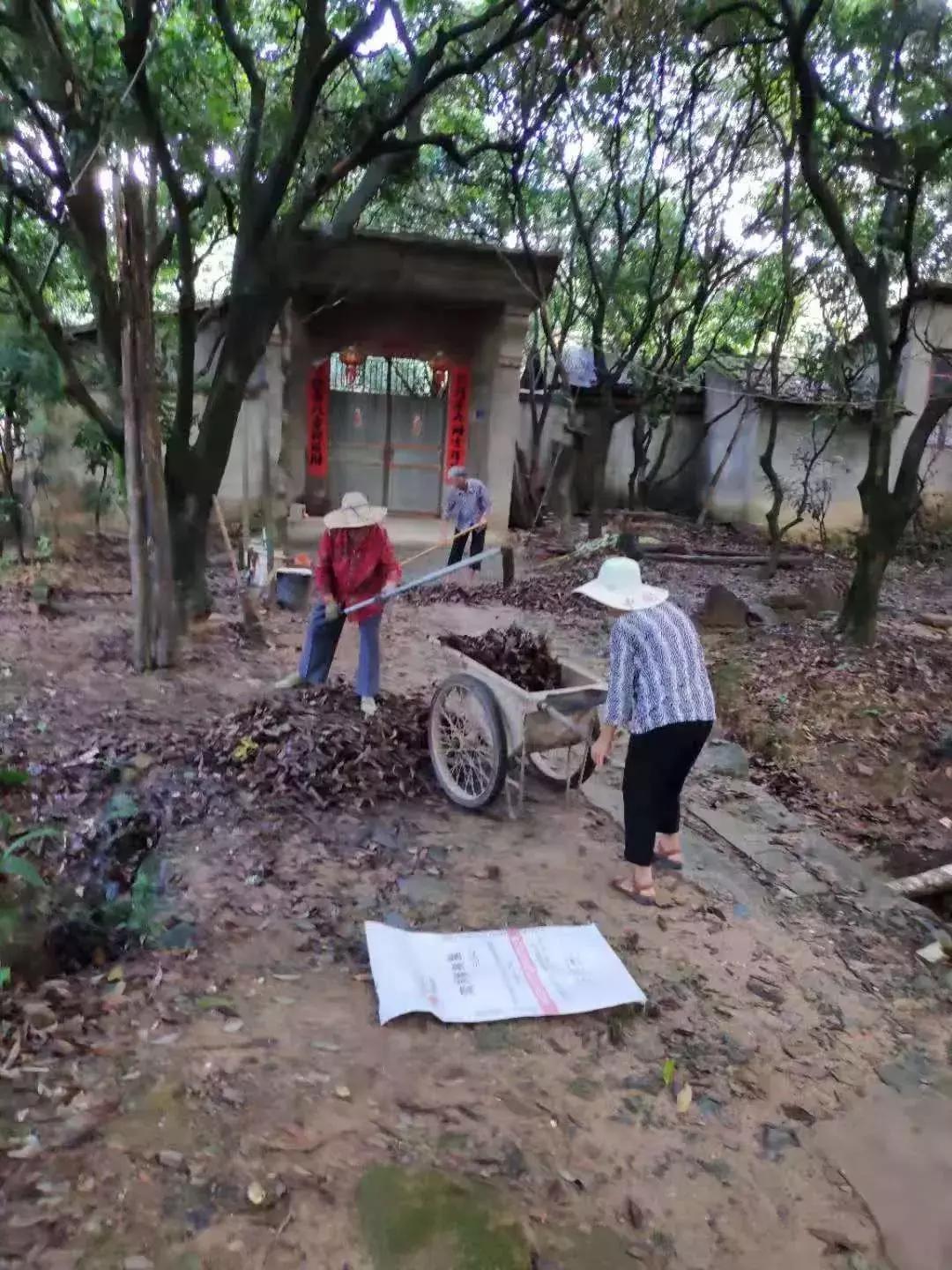 我市两镇获评国家卫生乡镇,争创省级卫生镇