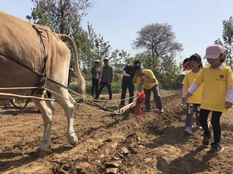 劳动课教学新思路新方法,如何设计一堂有特色的劳动课