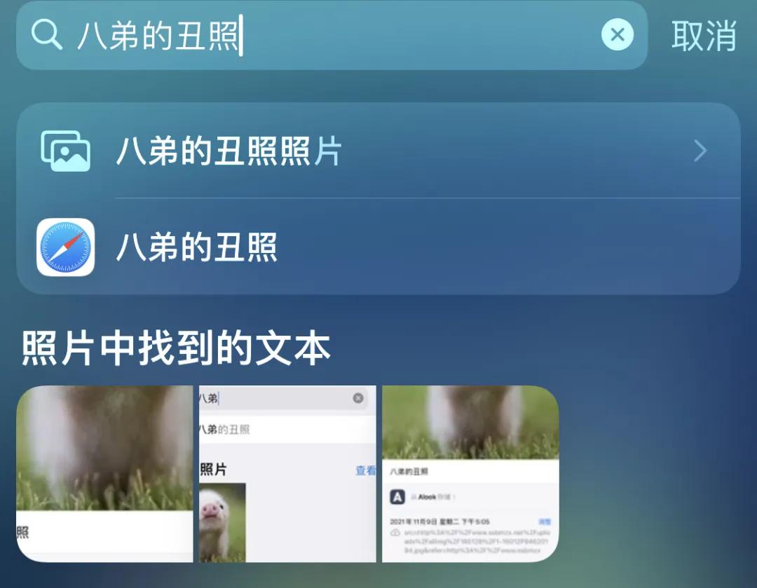 用了五年的iphone11,iphone相册总结