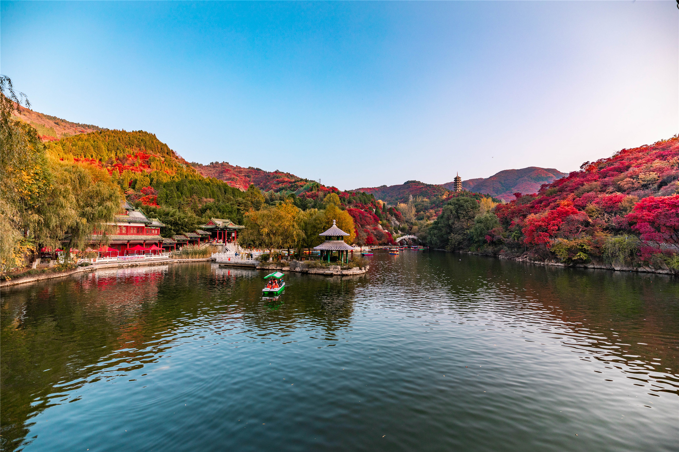 二十届济南红叶谷红叶节开幕,济南红叶谷今年最佳观赏红叶时间