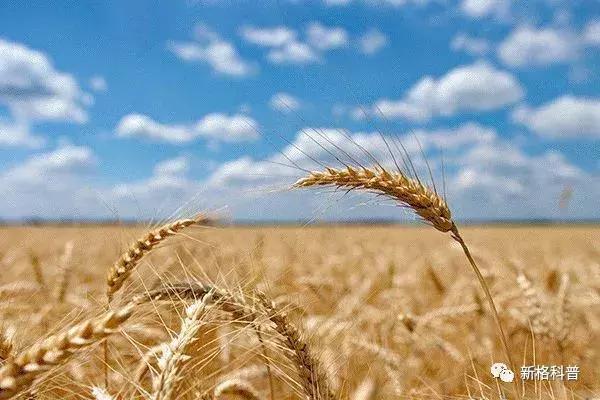 知文化|六月六全民洗晒日？你那里晒什么？