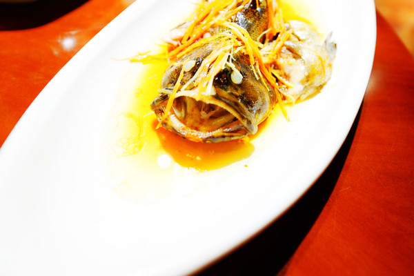 幸亏我来了再不来素材就没了,海南月亮湾的夜晚