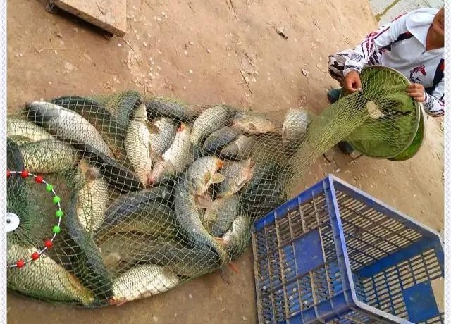 一篇直白、通俗的钓鱼“秘籍”，送给在家蜗居的你“闭关修炼”