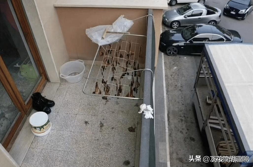 华人晒鸡翅被举报有蝙蝠,在家晒鸡翅被人看成蝙蝠