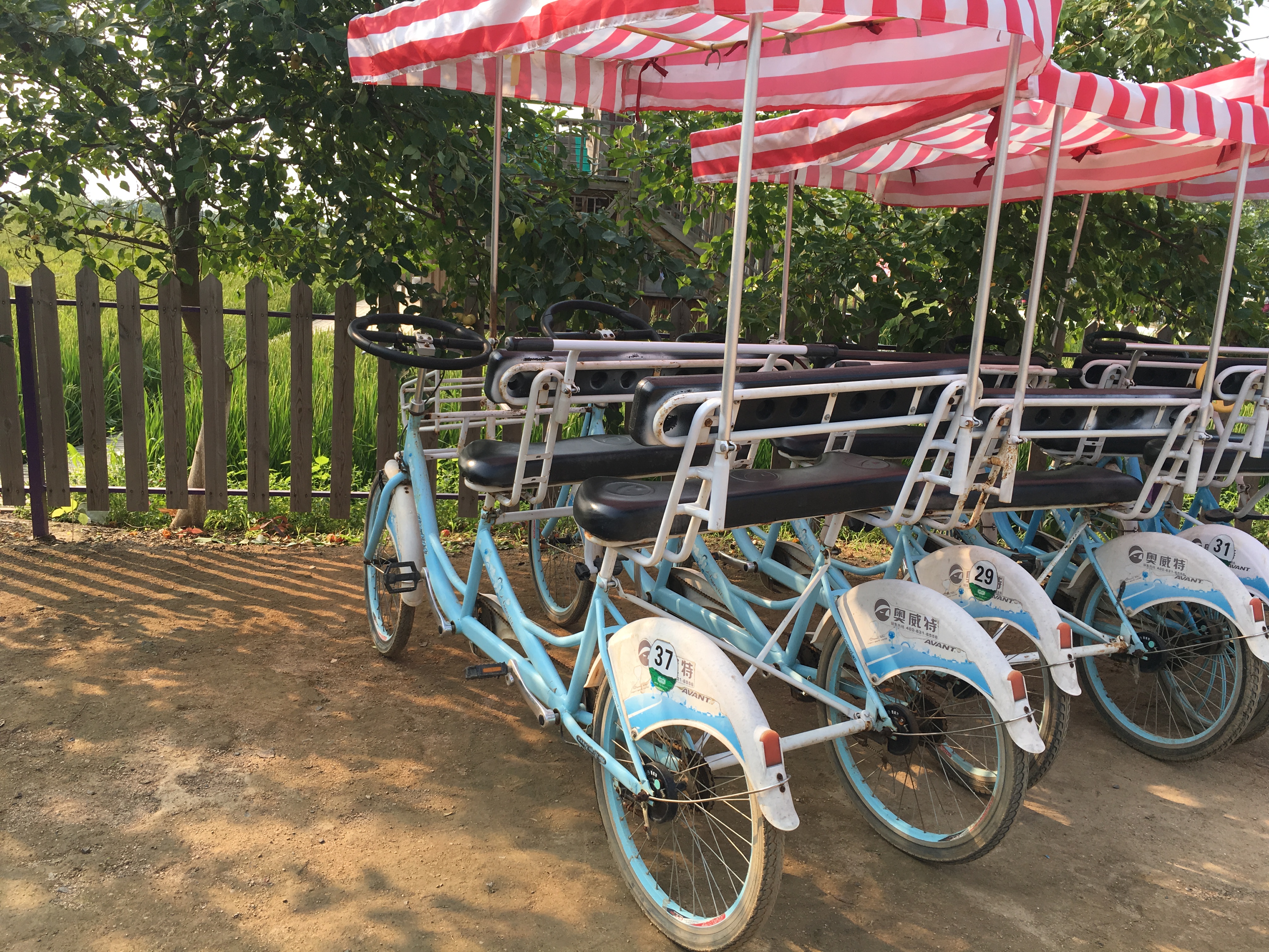 沈阳稻梦空间景区旅游攻略,沈北稻梦空间旅游攻略