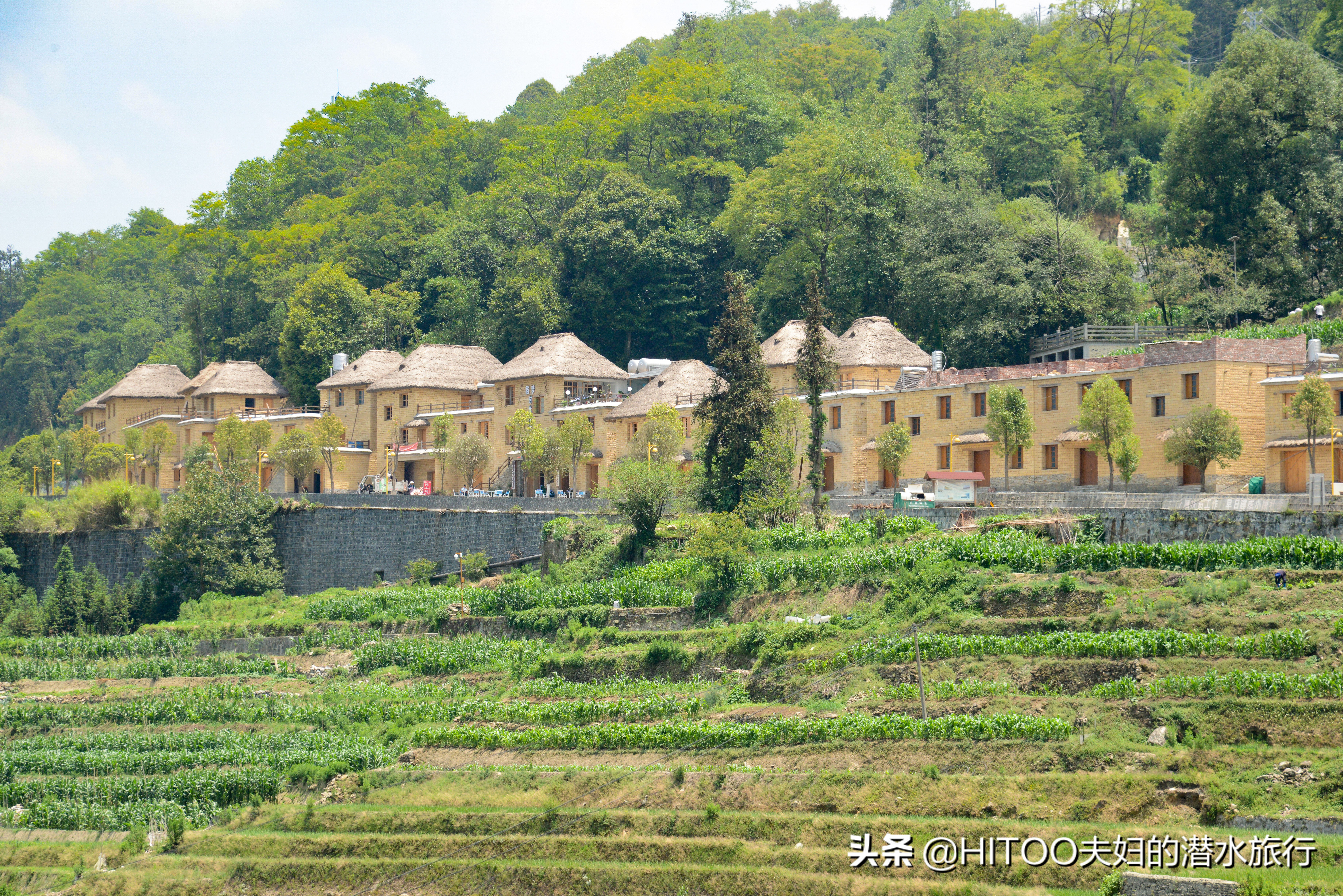 自驾元阳梯田旅游攻略时间,元阳梯田自驾游玩攻略路线