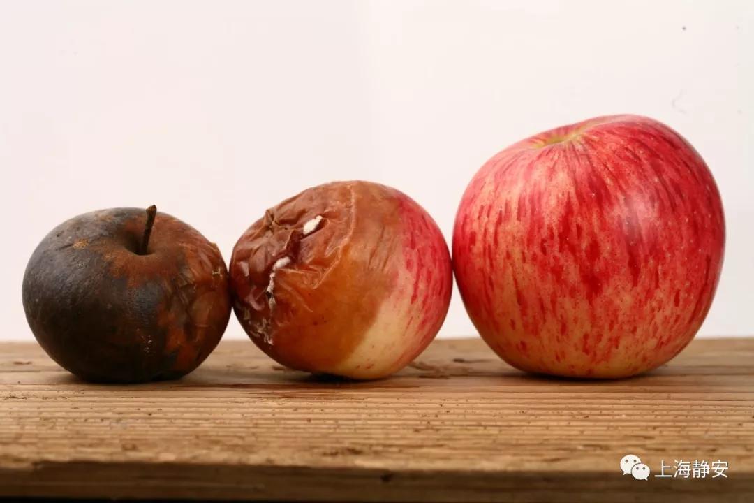 鱼身上哪个部位寄生虫最多,有毒医生提醒鱼这个部位千万别吃