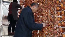 90%靠从中国进口的“软黄金”，韩国人都抢着吃，朱元璋给它封侯