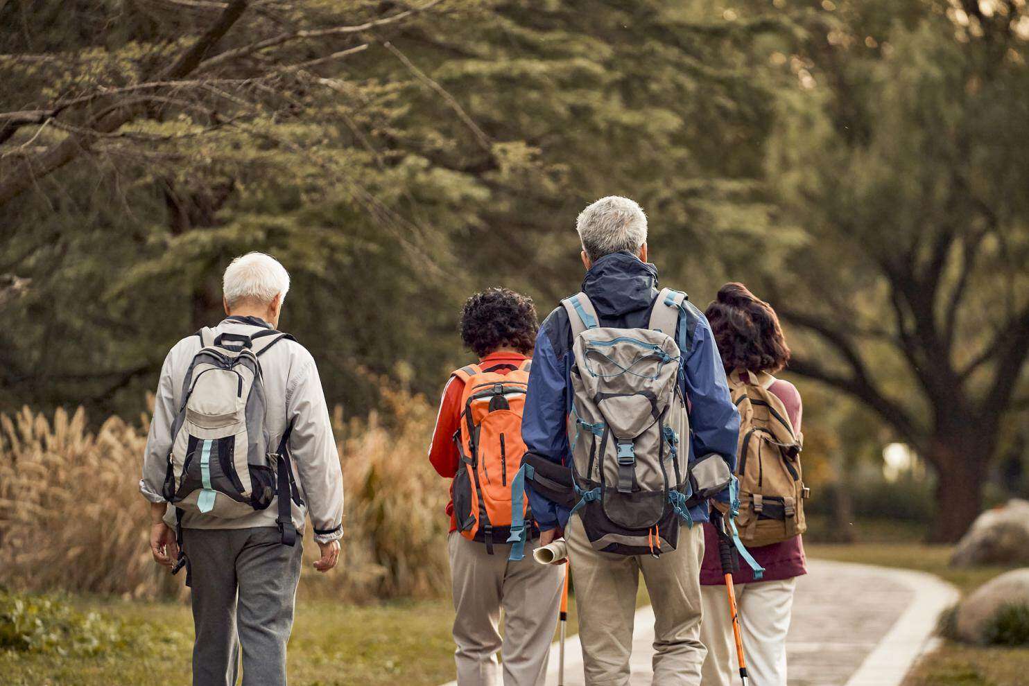 老年人哪种蛋白粉补充效果最好,老人补充哪款蛋白质粉好