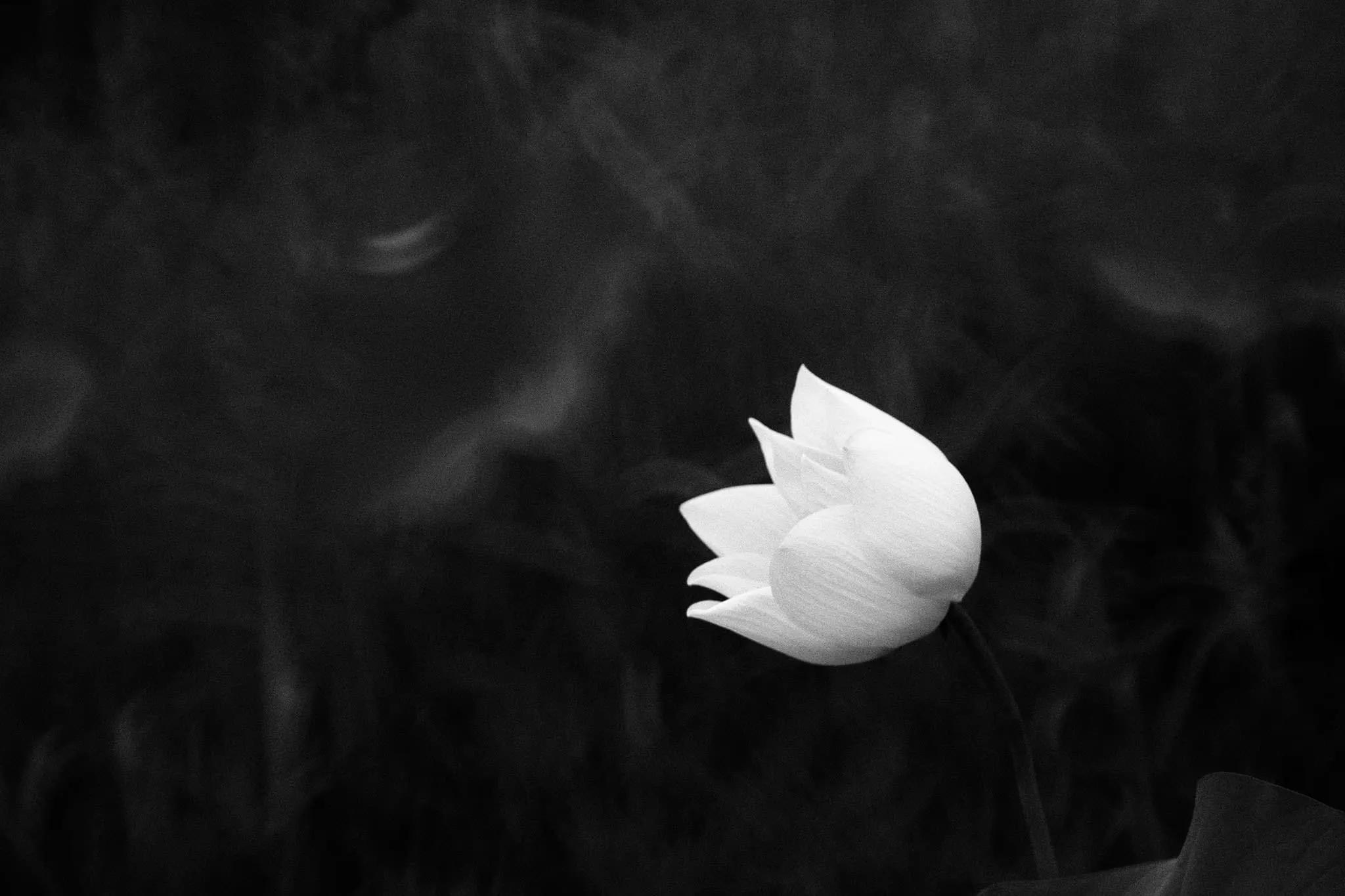 在书店遇到的女孩视频,在书店打工有前途吗