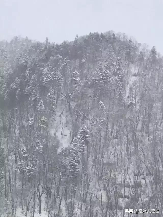 日本一个岛国为什么经济这么强,日本一个岛国为什么如此强