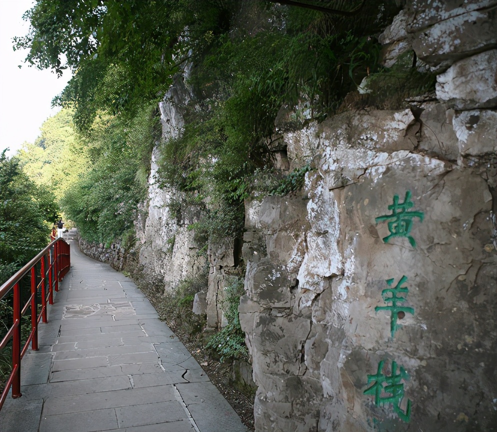 太行云顶王莽岭董事长尚东方简历,王莽岭云顶民宿