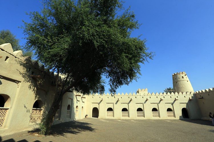 阿联酋第一位总统扎伊德阿布扎比,阿联酋阿布扎比现任酋长