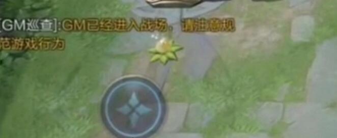 王者荣耀gm巡查是真人吗,王者荣耀gm巡查有谁