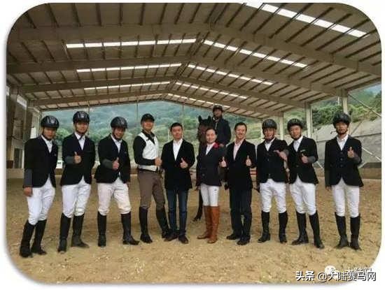 燕龙马业一匹温血马多少钱,国内繁育温血马