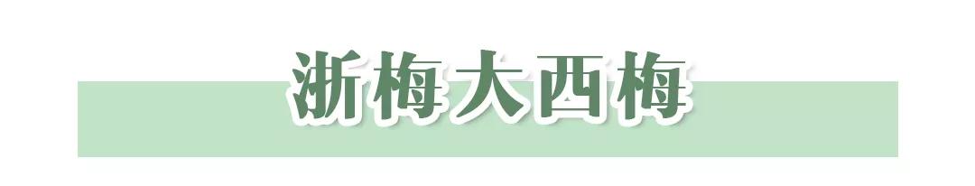 回购率最高的10种美食,回购率最高有特色的零食