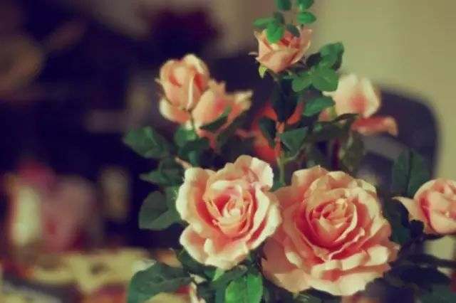 人生6句话渡人渡己句句在理,渡己亦渡人语录