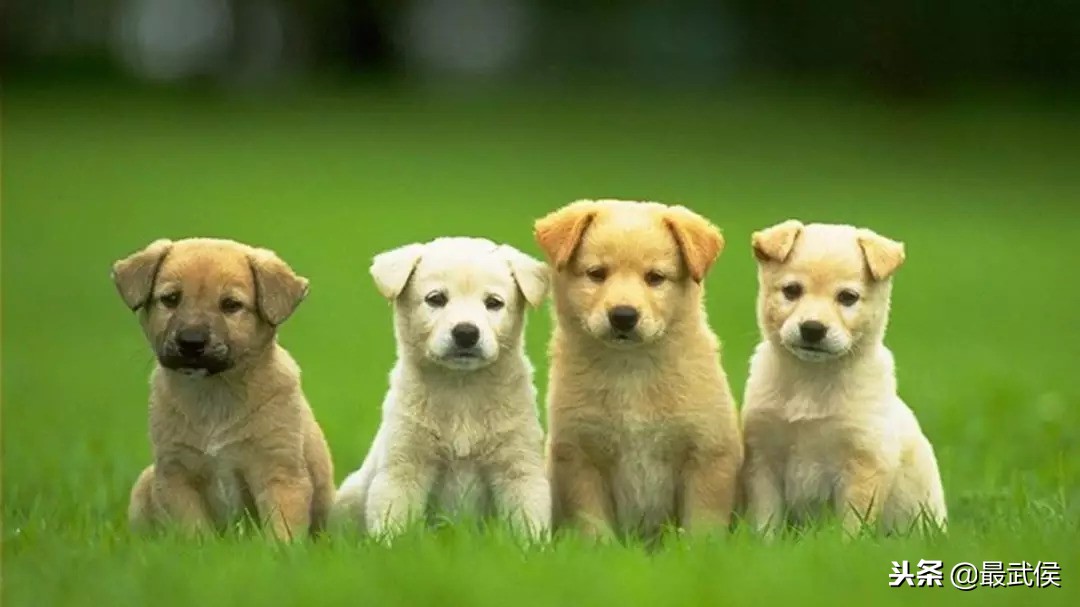 成都日化批发市场在哪便宜,成都批发市场哪里最大最便宜