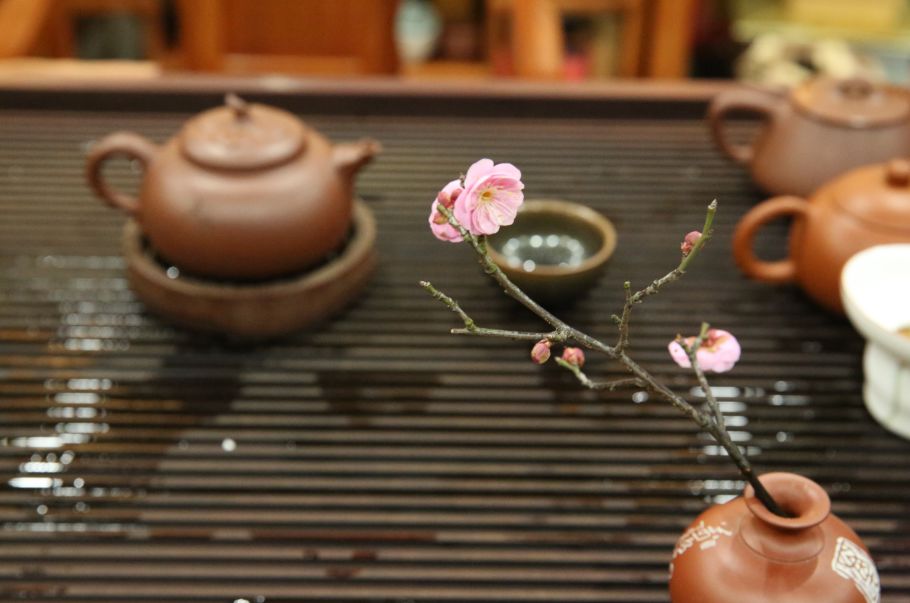 如何养壶最有效的方法,正确养壶方法大全