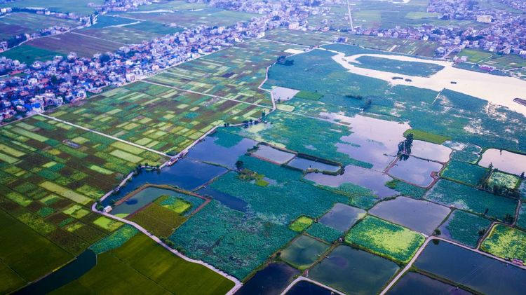 鍒濊瘑闄嗚壇,杩藉繂闄嗚壇