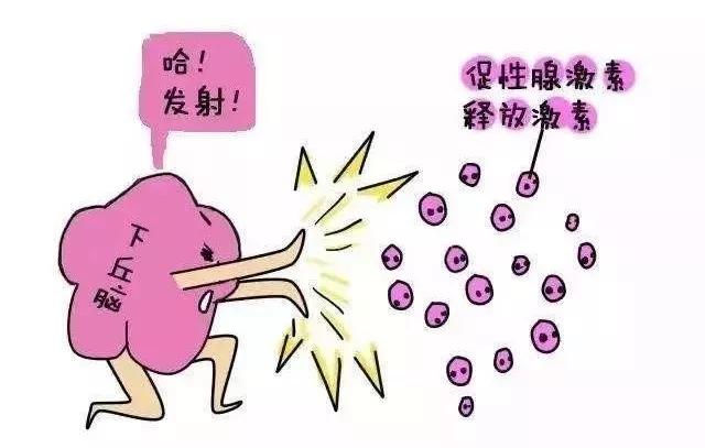 试管婴儿八大步骤,试管婴儿十个步骤