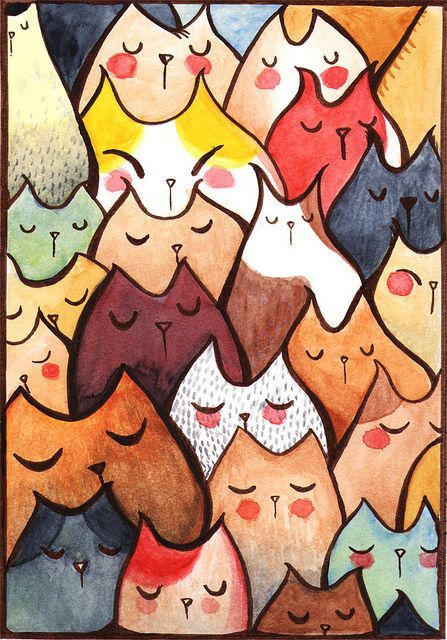 那么喜欢猫的人，你们知道猫的起源是怎么来的吗？