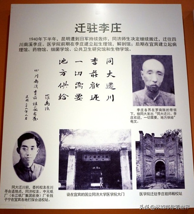 林森完整版免费观看,林森完整视频