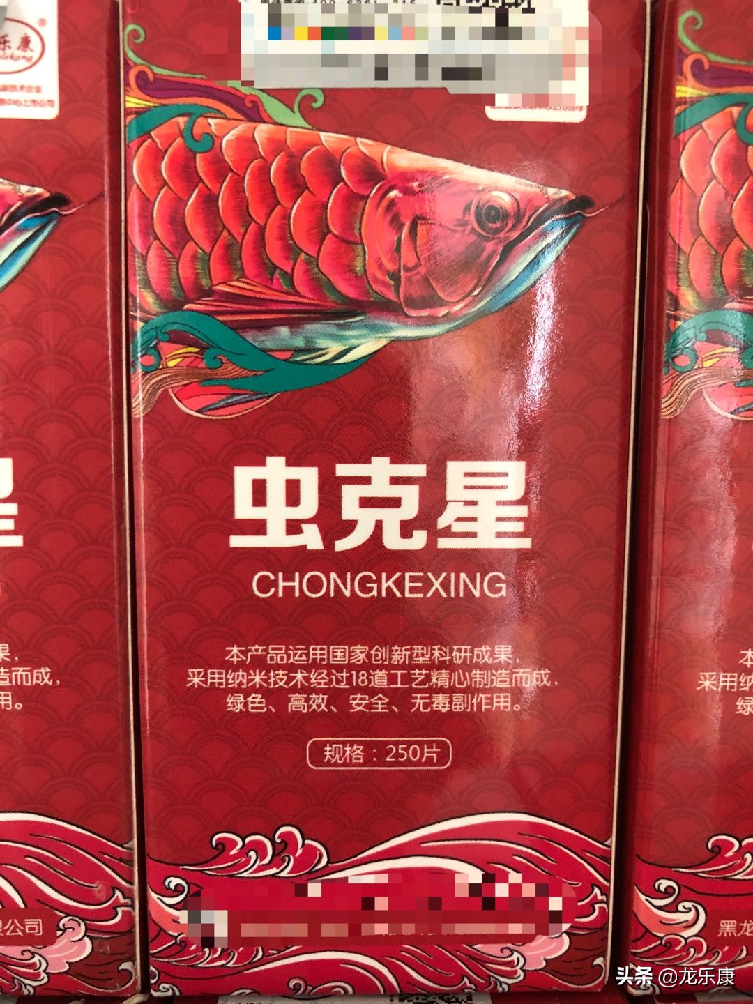 龙鱼疾病的概况,龙鱼突发疾病