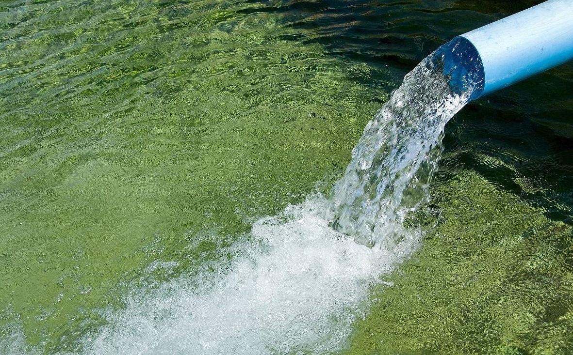 胆结石在饮食上要注意哪些,胆结石正确的饮食有助于治疗