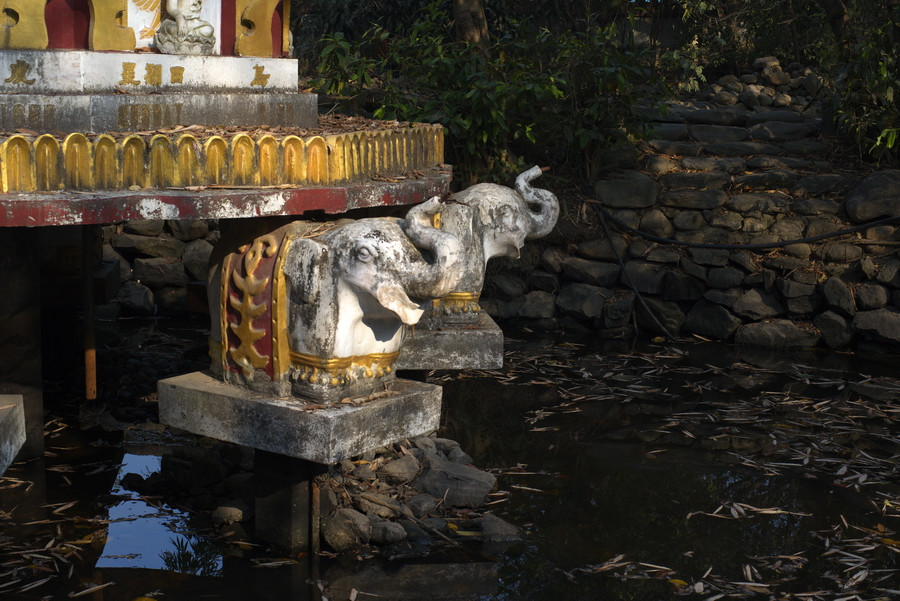 云南瑞丽攻略自由行,过年云南旅游攻略瑞丽