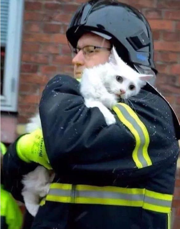 别惹我普京新传心得体会,别惹我普京新传完整版