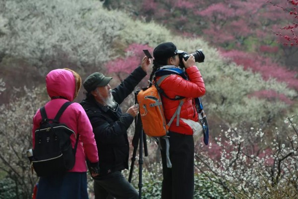 2018十大感人瞬间感谢你,谢谢2018完整视频