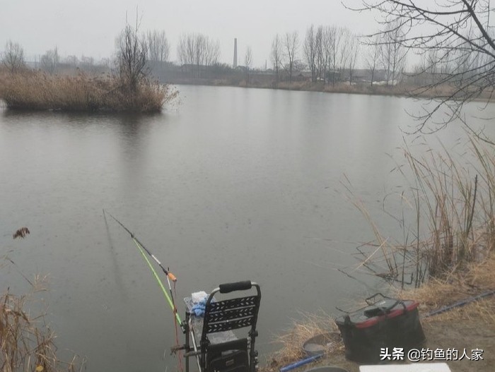野钓收获一尾九斤大鲫鱼,野钓十多斤白条鲫鱼