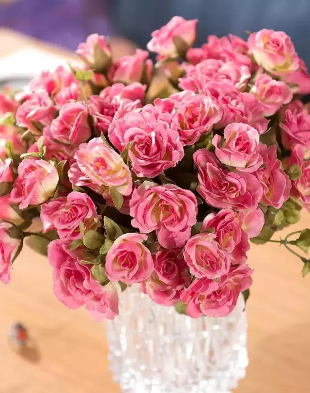 玫瑰大全｜说到玫瑰只能想到红玫瑰的，建议你好看看本文！