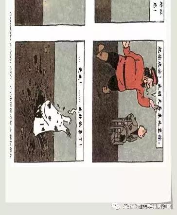 丁丁和丁丁历险记论文,丁丁历险记丁丁的服装