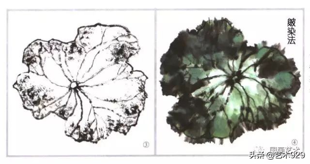 荷花的画法和步骤图解,最简单的荷花画法一学就会