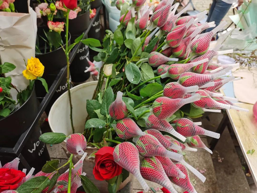 5月岭南花卉市场,红星花卉市场七夕