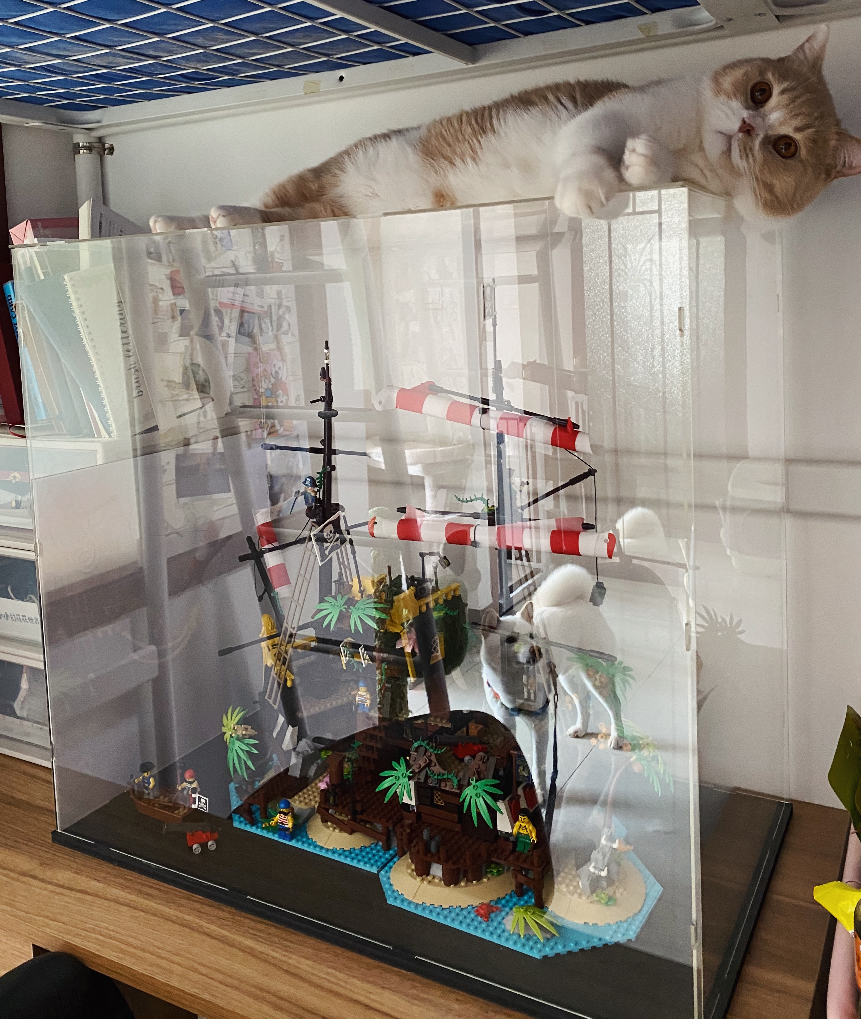 乐高打包搬家翻车,搬家乐高如何打包