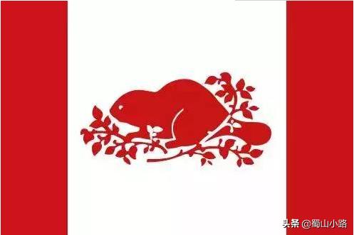 2021十大关键词之晚舟归航 (灯塔在守候晚舟早归航什么意思)