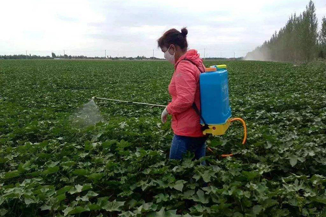 刚打农药就下雨了,打农药一般多久下雨不受影响