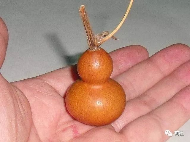 如何把葫芦盘成红色,葫芦真能变成枣红色吗